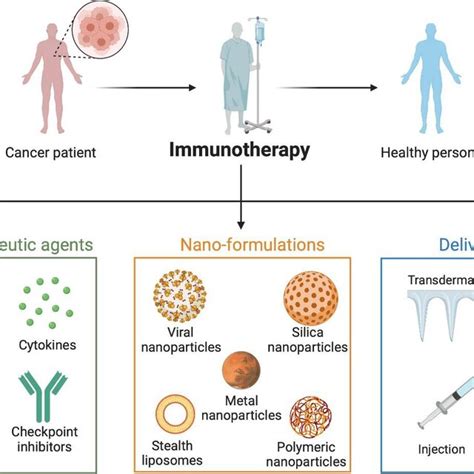 Applications Of Nanotechnology In Cancer Immunoprevention Download Scientific Diagram