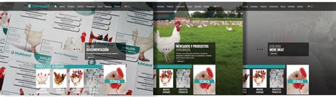 Selecciones Avícolas Hubbard Ha Actualizado Su Página Web Al Idioma