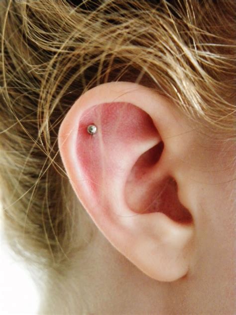 Outer Conch Flat Piercing This Is About Where I Would Want Mine So