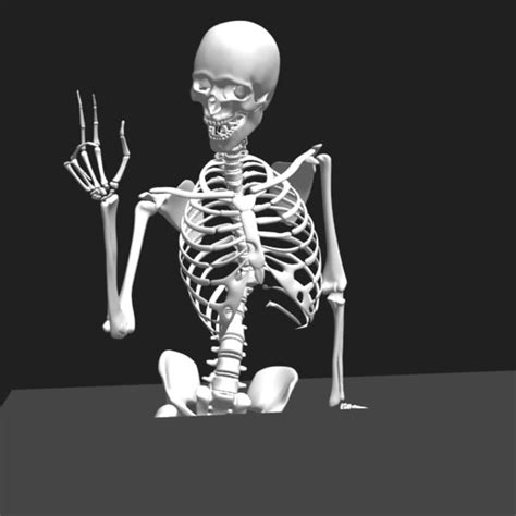 Skeleton Rig Maya 3d Model 99 Ma Obj Free3d