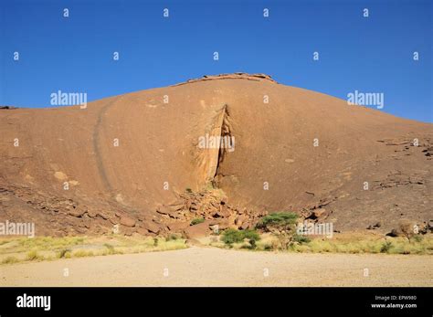 Schamlippen Fotos Und Bildmaterial In Hoher Auflösung Alamy