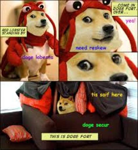 Wow Such Dog Doge Know Your Meme