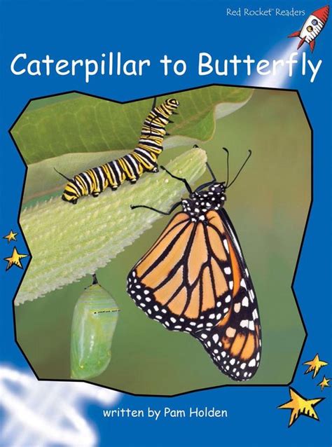 Caterpillar To Butterfly Readaloud Ebook Pam Holden Boeken Bol