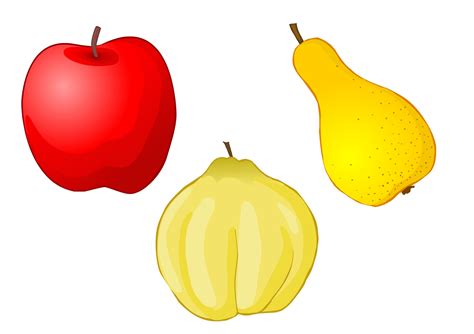Ilustratii Cu Fructe Si Legume Planse Colorate Fise