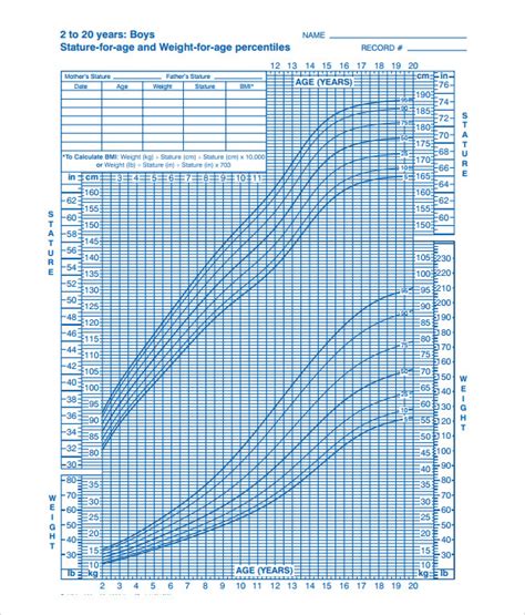 Infant Growth Chart Boy Template Business