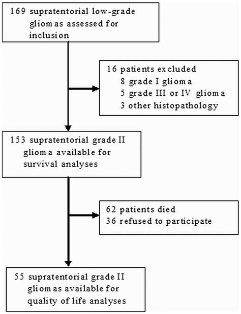 Flow Chart Describing Patient Selection Download Scientific Diagram