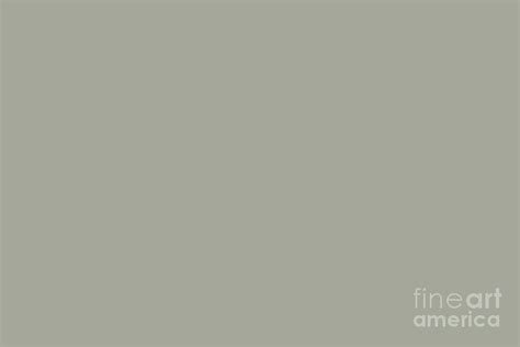 Idealistic Neutral Grey Green Solid Color Pairs To Sherwin Williams