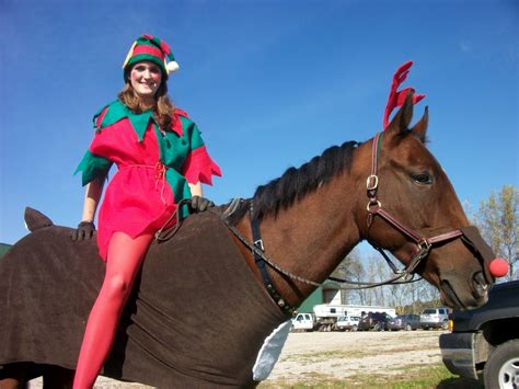 10 Spectacular Horse And Rider Costume Ideas 2024