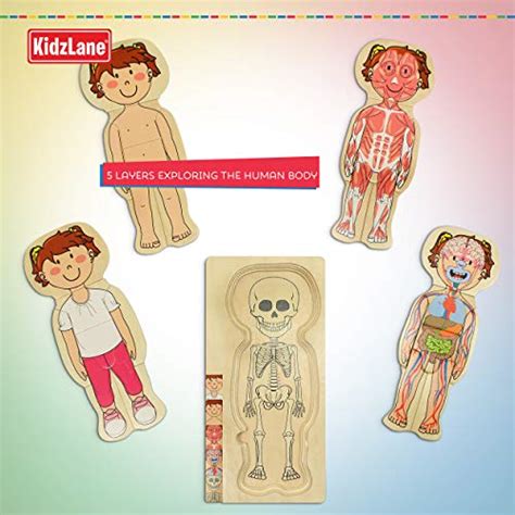 Kidzlane Wooden My Body Puzzle For Toddlers And Kids 29 Piece Gir
