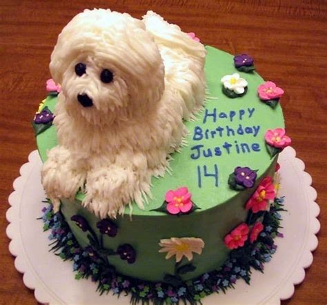 Birthday Cake For Dogs 30 Easy Doggie Birthday Cake Ideas