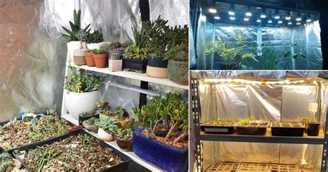 12 Diy Grow Tent Ideas For Indoor Gardeners Balcony Garden Web