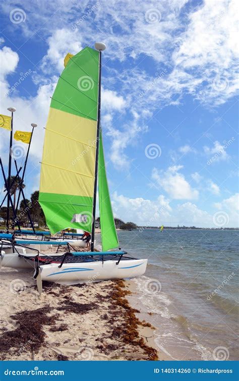 Small Sailing Catamaran With Yellow And Green Sails Stock Photo Image