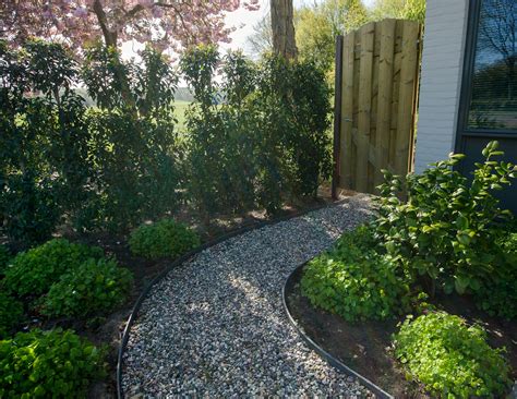 White, purple and red zinnias are planted at the very edge of the flower bed. Easy Landscaping | Easy Maintenance Landscaping | Yard Tips