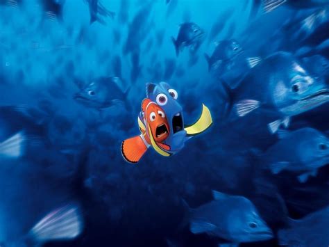 Finding Nemo Wallpaper Finding Nemo Wallpaper 6248845 Fanpop