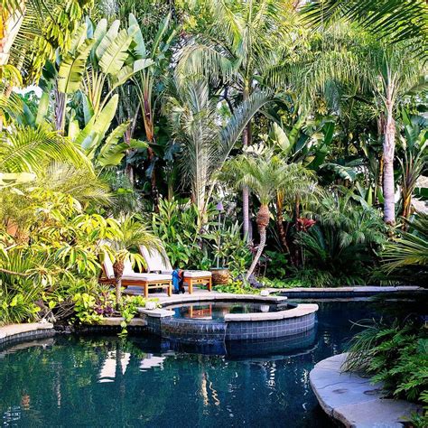 60 Pool Landscaping Ideas Tropical Small Backyards Savvy