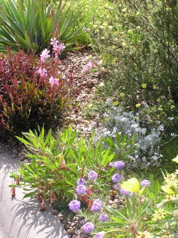 The flowers are great for attracting butterflies, and since these small plants can range from two to four feet in height, they make an excellent ground cover. Plant List for the Texas Panhandle - Flowers | High Plains ...
