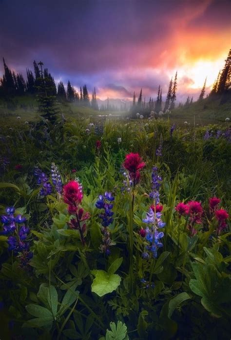 Sweetd3lights By Daniel Greenwood Photos Paysage Paysage