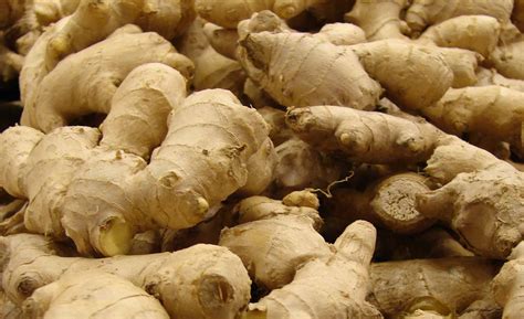 Ginger Farmers Lament Neglect By Government Rip Off By Marketers The