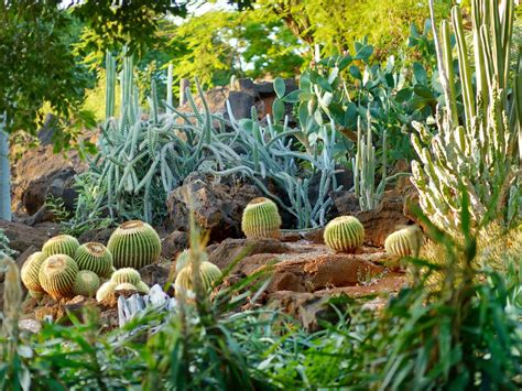 8 Cactus Gardens Around The World
