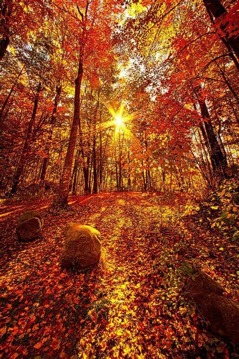Awesome Autumn Sunset Autumn Scenery Autumn Scenes Fall Pictures