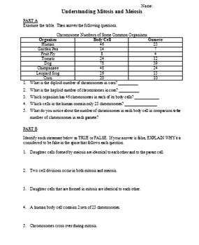 Meiosis Reading Worksheets Answer Key