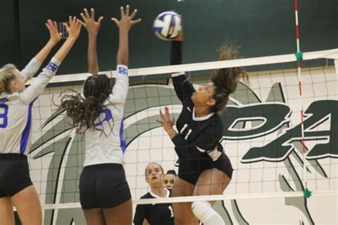 college volleyball panola college upsets no 15 blinn in five in home opener sports