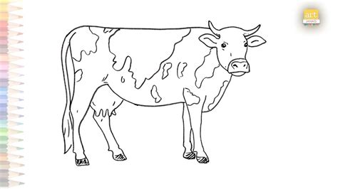 Cow Jersey Cow 2 How To Draw A Jersey Cow Cattle Step By Step