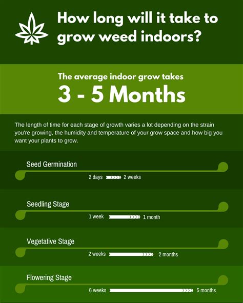 We've discussed how long it takes mold to form and what you can do about it. Growing Weed Indoors: A Beginners Guide - skunkology.com
