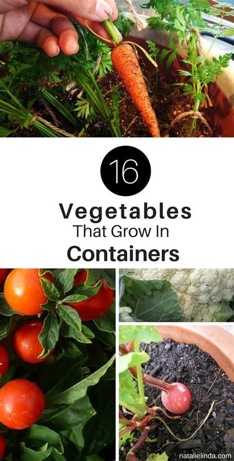 Why not give growing fruits or vegetables in hanging baskets a try? 16 Vegetables That Grow In Containers - NATALIE LINDA