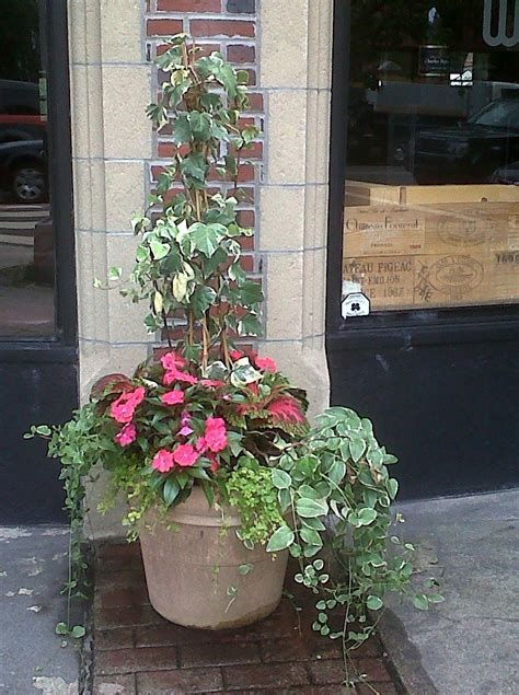 Maybe you would like to learn more about one of these? SHADE container, Greenwich CT | Container design, Flower pots