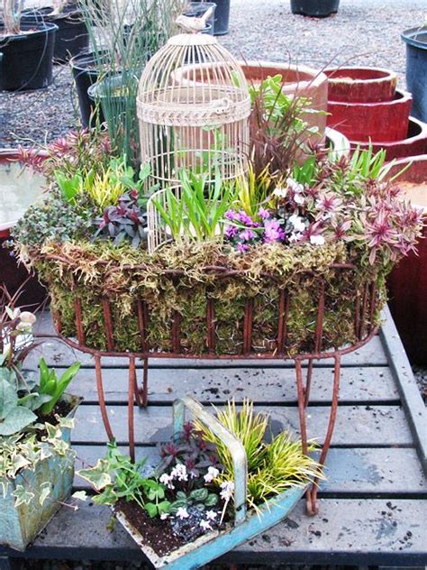 Calypso Container Gardening Portland Oregon Spring Design For