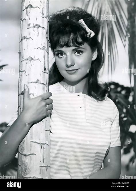 Dawn Wells American Film And Tv Actress As Mary Ann In The Gilligans