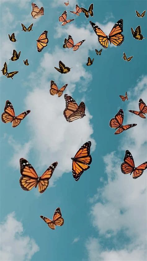 Download Monarch Butterflies Kaleidoscope In The Sky Wallpaper
