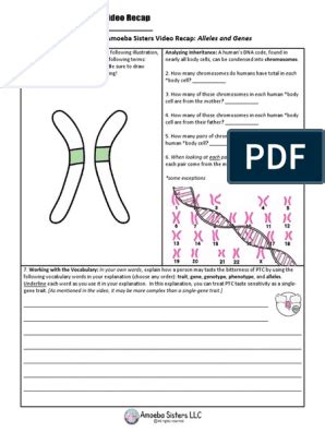 This video has a handout: Amoeba Sisters Alleles And Genes Worksheet Answer Key : Incomplete Dominance Codominance ...