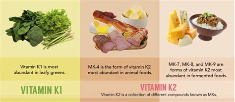 Vitamin K Foods Mcisaac Health Systems Inc