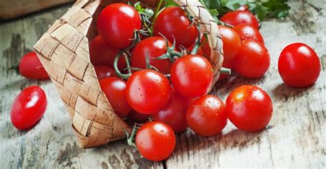 10 Best Tomatoes To Grow In Florida 2023 The Gardening Dad
