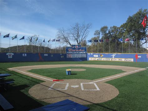 Yes, your own wiffle ball field, where you can play anytime without going anywhere out of your house, and no one will bother you. Wiffle Ball Fields | Stadium Directory | Field Ideas