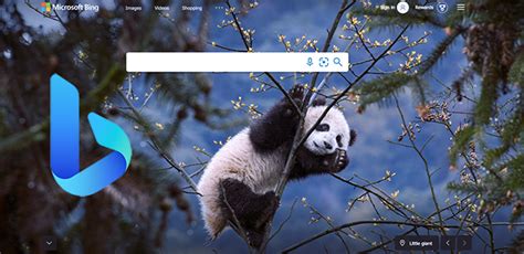 Microsoft Bings New Visual Search Features Wordtracker