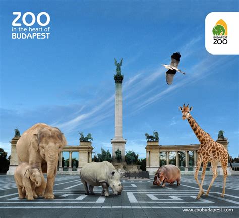 Leading Zoo Professionals Will Come Together In Budapest Zoo Zoo In