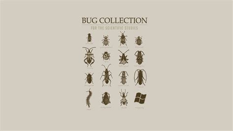 Bug Collection Poster Insect Infographics Science Animals Hd