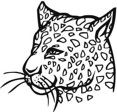 Aug 02, 2020 · related posts of amur leopard coloring pages african tree toad coloring pages. Amur Leopard Drawing at GetDrawings | Free download