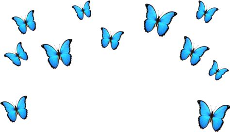 Aesthetic Butterfly Clipart / ? Aesthetic Blue Butterfly Png - 2021 - Aesthetic photo aesthetic ...