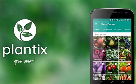 Grab the best smartphone with digi malaysia at a discounted price with digi postpaid plan and unlimited data. Introducing the Plantix plant doctor app