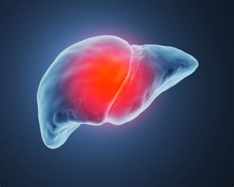Causes Symptoms And Treatments Of Liver Pain Facty Health