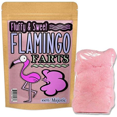 Pin On Flamingos