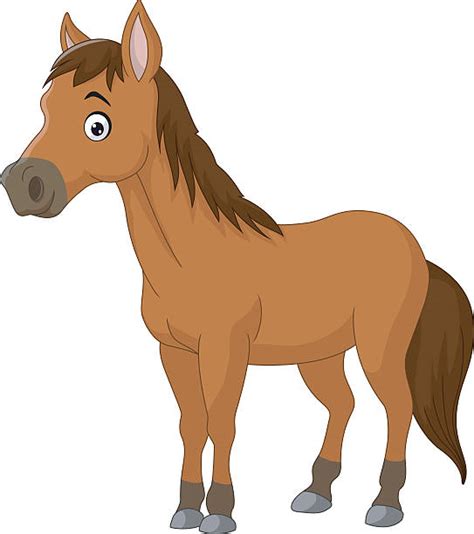 Horse Eye Illustrations Royalty Free Vector Graphics