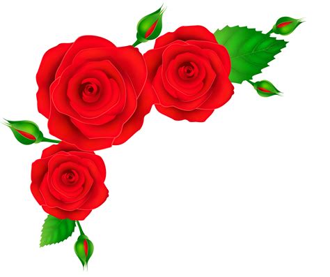 Rose Corner Clipart | Free download on ClipArtMag png image