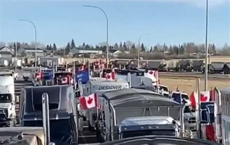 American Truckers To Form Freedom Convoy Mirroring Canadas Reports Say