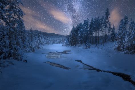 Starry Night In Winter Forest Hd Wallpaper Background Image