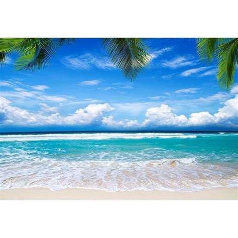 Blue Sky Ocean Coconut Leaves Backdrop Beautiful Seaside Scenery